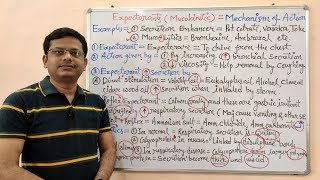 Expectorant and Antitussive Part04 Mechanism of Action of Expectorants and Mucolytic Drugs [upl. by Hickey]