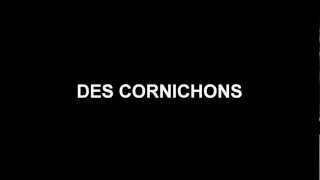 french project les cornichons lyrics video [upl. by Nnoryt]