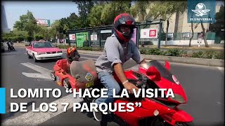 “Frijol” el perrito biker que recorre la Ciudad de México [upl. by Gerge468]