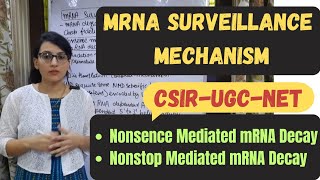 mRNA Surveillance  Nonsence Mediated mRNA Decay  Nonstop Mediated mRNA Decay Pathway [upl. by Osnofedli]