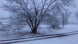 Friday snow storm here in Yadkinville North Carolina December 8th 2017 [upl. by Yrehcaz927]