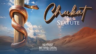 Destroying Venom with Venom  Parashat Chukat [upl. by Nnaik]