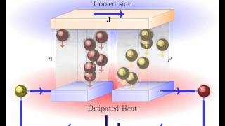 Peltier Effect Thermoelectric cooling [upl. by Aerdied131]