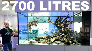 2700 litre  700 gal Aquarium AMAZING Hardscape Concept w STUNNING FISH [upl. by Kehr]