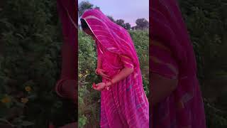 Tu Mera kuch Lage  Indian Nomadic Family shorts villagelife [upl. by Odnumyer]