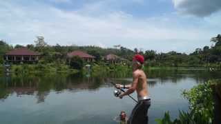 150 lb Mekong Catfish  Gillhams Fishing Resorts 2013 [upl. by Ahsael]