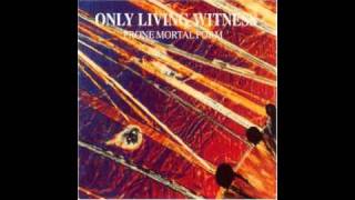 Only Living Witness  Nineveh [upl. by Arymat]