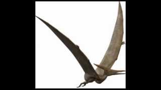 Sonidos reales de Pterodáctilo  Pterodactyl Sounds [upl. by Kiel]