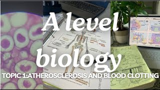 A level biology edexcel A SNAB Topic 1 Atherosclerosis and Blood Clotting [upl. by Yer969]