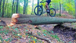 VTT  FREERIDE  Foret de Soignes [upl. by Crean]