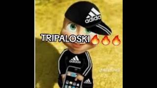 TRIPALOSKI MASHA 🔥🔥 [upl. by Otiv382]