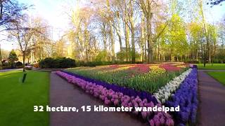 Keukenhof 2020 Nederlands [upl. by Atirac362]