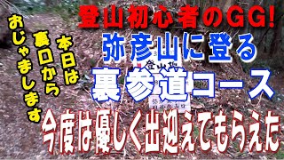 登山初心者GGが挑む！ 弥彦山 裏参道コース コース解説 [upl. by Esli]