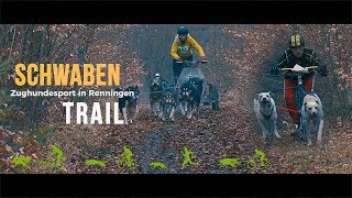 Schwabentrail 2018  International Sled Dog Rig Race RenningenMalmsheim [upl. by Nitsirhc337]