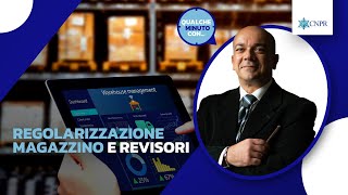 Danilo Sciuto  Regolarizzazione magazzino e revisori [upl. by Nylia]