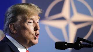 phoenixRunde Trumps Drohung  Kann sich die NATO noch auf die USA verlassen [upl. by Bernt]