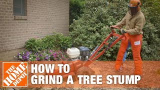 How To Grind A Tree Stump  The Home Depot [upl. by Nyraa]