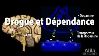 Mécanisme de Dépendance dans le Cerveau Animation [upl. by Morra201]