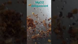 MgCl2 Deliquescent substance present in common salt NaCl education chemistry [upl. by Suiravaj]