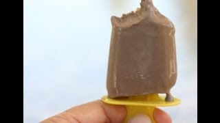 How To Make Chocolate Popsicles  These Fudgesicles Are A Creamy Summer Treat by Rockin Robin [upl. by Chapman120]