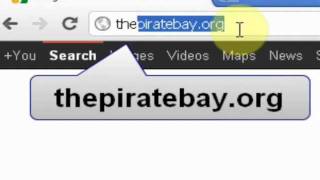 How To Download Torrents From The Pirate Bay [upl. by Enniotna]