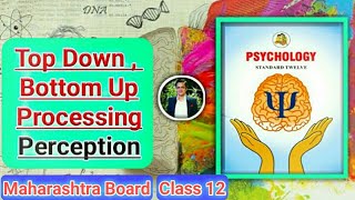 Chapter 4 Cognitive Processes Part 3 Top Down and Bottom Up Processing Psychology 12th Maharashtra [upl. by Onihc758]