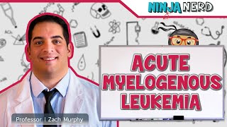 Acute Myelogenous Leukemia AML [upl. by Notluf]