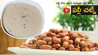 Palli Chutney telugu  Idli chutney  Palli chutney  Peanut Chutney Recipe  AndhraRuchuluOfficial [upl. by Vernon]