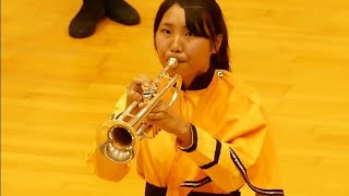 Japanese marching Band is absolutely incredible ☺ [upl. by Eittam]