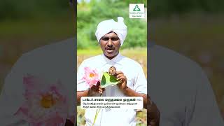 தமிழர்களின் தாமரை மருத்துவம்  DrSalai Maruthamalai Murugan Siddha Way Of Life  Dr Saalai JK [upl. by Emmey]