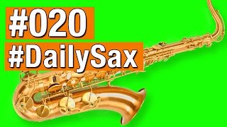 DailySax 020  Das Saxophon reparieren lernen  Saxofon spielen [upl. by Schacker]