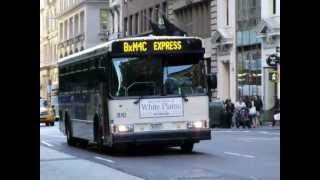 Bee Line Bus Orion V 810 on the BxM4C [upl. by Etnwahs]