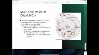 Chlamydia Trachomatis [upl. by Acus]