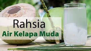 Rahsia Air Kelapa Muda — Dr Noordin Darus [upl. by Yekram]