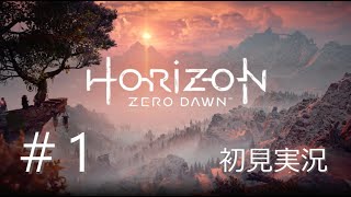 Horizon Zero Dawn（ホライゾンゼロドーン）【初見実況】＃1 [upl. by Adnole482]