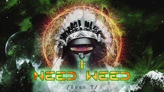 Soom T  I NEED WEED trip video [upl. by Bashemath660]