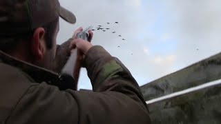 Goose hunting scotland best of shots Compilation [upl. by Lem]