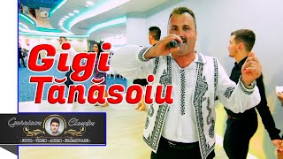 GIGI TANASOIU 🎤 FORMATIA CRINUL DIN TG JIU ✅ COLAJ DE SARBE PENTRU PATIMASI ✅ NUNTA RAZVAN SI MIRELA [upl. by Thetes429]