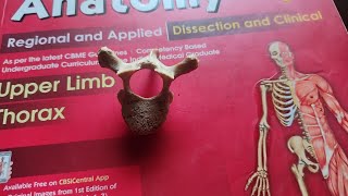 Thoracic Vertebrae Anatomy  Osteology  Mbbs First Year Video [upl. by Phyllida]