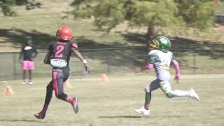 10u Fultondale Wildcats vs Crestwood colts Highlights [upl. by Afatsum]