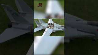 F14 Tomcat RC Turbojet Enginer RC Planes Aircraft Jet Mohinh Shorts [upl. by Huntington]