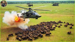 How Do Hunters And American Farmers Deal With Millions Of Wild Boars By Helicopter and Trap [upl. by Duhl]