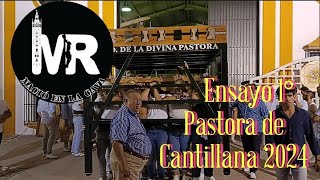 Ensayo 1° de la cuadrilla de costaleros de la Divina Pastora de Cantillana en 2024 [upl. by Akcirederf309]