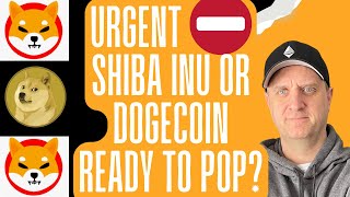 SHIBA INU COIN PRICE NEWS 🔥 DOGECOIN SET TO ROLL UP 🚀 ETHEREUM PRICE POPPING [upl. by Smart]