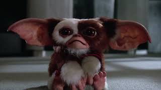 Gremlins 2  Gizmo Gets Jumped [upl. by Curley]