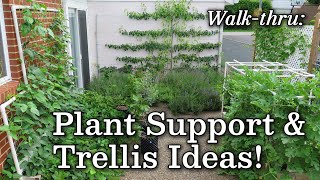 Trellis Plant Support Ideas  Vertical Urban Garden Edible Landscape Albopepper Walk thru [upl. by Sirovart]