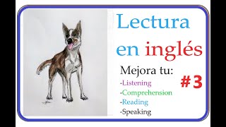 Lectura en inglés para aprender 3  Reading Practice  3 Firulais [upl. by Oivaf]