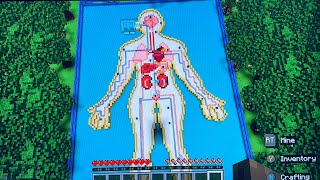 ASMR Minecraft Human Body cart tour [upl. by Leonhard]