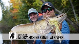 Musky Fishing Small Wisconsin Rivers  Episode 7 [upl. by Jairia801]