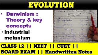 L5 Darwinism  theory of natural selection  class 12 evolution  CUET NEET CBSE [upl. by Ollehto139]